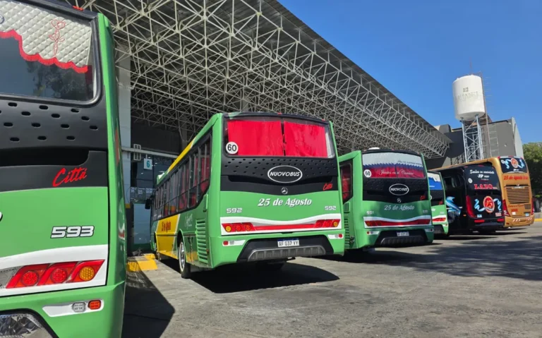 urbano nuovobus terminal 1200